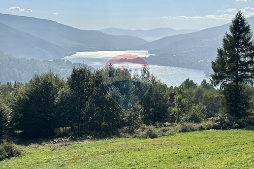 Sprzedaż-Działka budowlana-Leśna  -  Międzybrodzie Bialskie, Polska-800061103-193