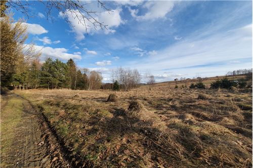 Sprzedaż-Działka budowlana-Bystra Podhalańska  -  Bystra, Polska-800091026-75