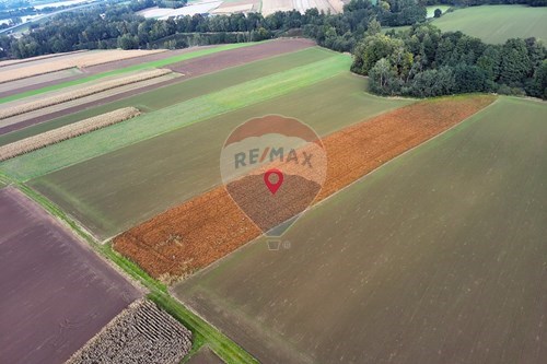 Sprzedaż-Działka-Dankowice  -  Dankowice, Polska-800061076-436