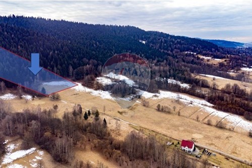 Sprzedaż-Działka budowlana-Bacówka  -  Las, Polska-800061103-195