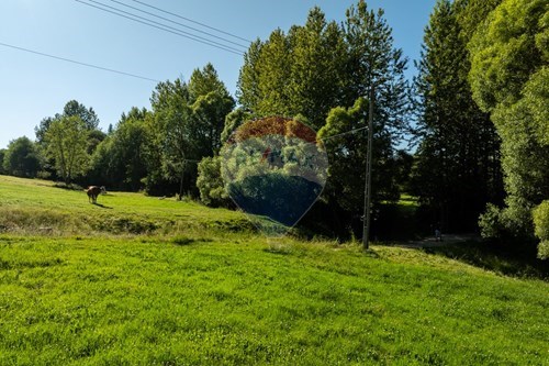 Sprzedaż-Działka budowlana-Morawczyna  -  Morawczyna, Polska-470151039-49