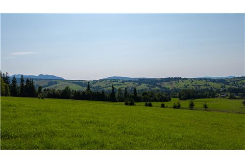 Sprzedaż-Nieruchomość gruntowa--  -  Dzianisz, Polska-800061116-24