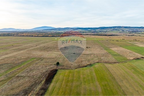 Sprzedaż-Działka-Czarny Dunajec  -  Czarny Dunajec, Polska-800091009-299