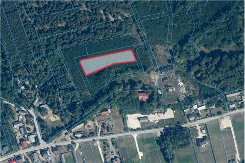 Sprzedaż-Działka-Zakościele  -  Zakościele, Polska-470291004-240