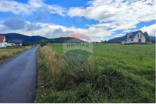 Sprzedaż-Działka budowlana-Ceglana  -  Milówka, Polska-800061133-15