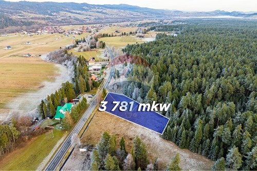 Sprzedaż-Działka-Nowotarska  -  Harklowa, Polska-470151024-463