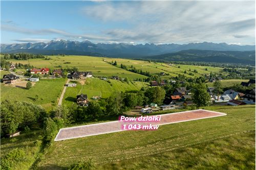 Sprzedaż-Działka-Potok Bryjów  -  Rzepiska, Polska-470151015-489