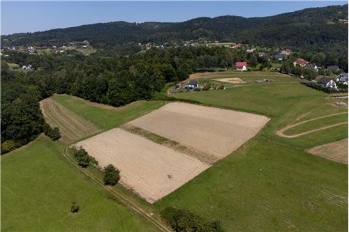 Sprzedaż-Działka-289  -  Młynne, Polska-800061103-179