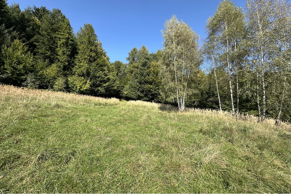 Działka budowlana - Sprzedaż - Międzybrodzie Bialskie, Polska - IMG_1826.jpg - 800061103-193