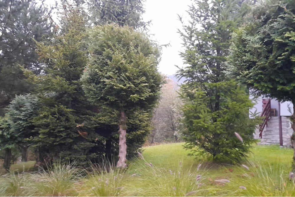 Dom wolnostojący - Sprzedaż - Rzyki, Polska - 67f9d8e4-125c-4acb-8a3c-ee19f79bf5ed.jpeg - 800241031-48