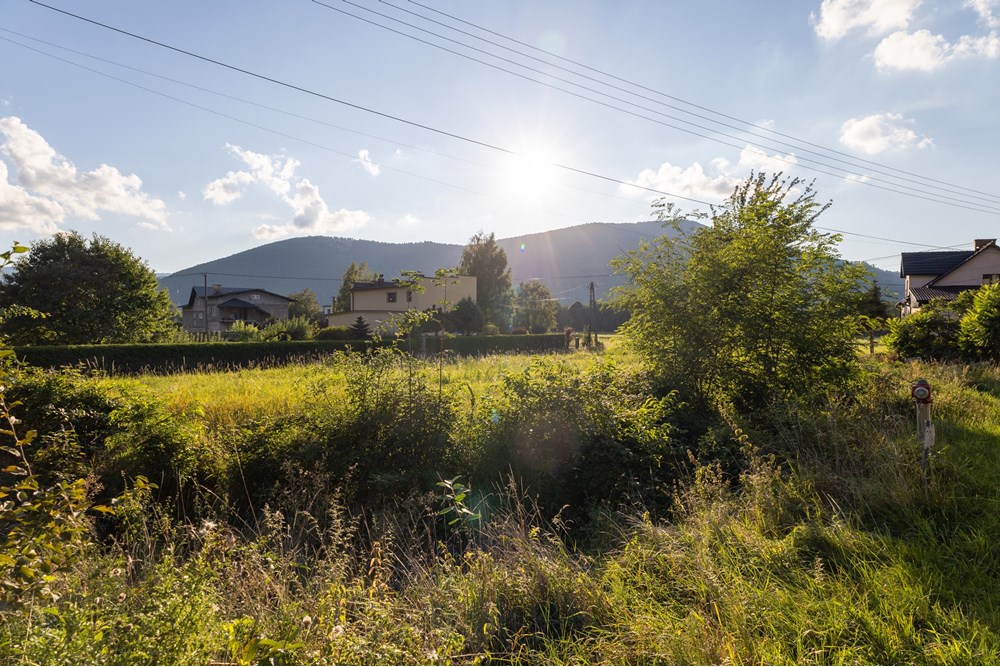 Działka budowlana - Sprzedaż - Porąbka, Polska - IMG_7683.jpg - 800061130-25