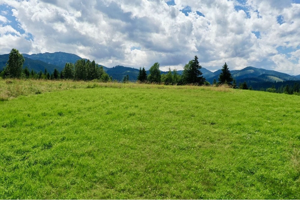 Działka budowlana - Sprzedaż - Witów, Polska - 18.jpg - 470151015-493