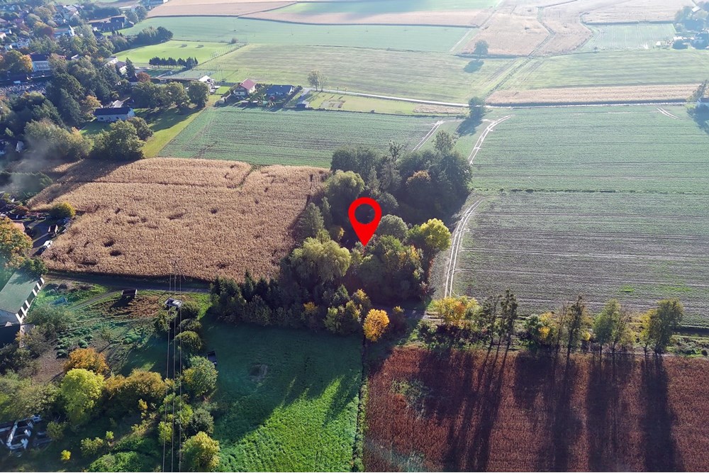 Nieruchomość inwestycyjna - Sprzedaż - Pruchna, Polska - PRU_019M.JPG - 800061076-438