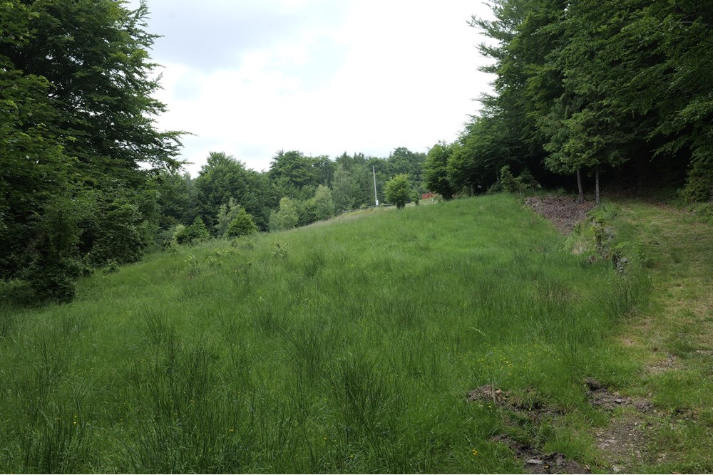 Działka - Sprzedaż - Wilkowice, Polska - P1011725.JPG - 800061116-13