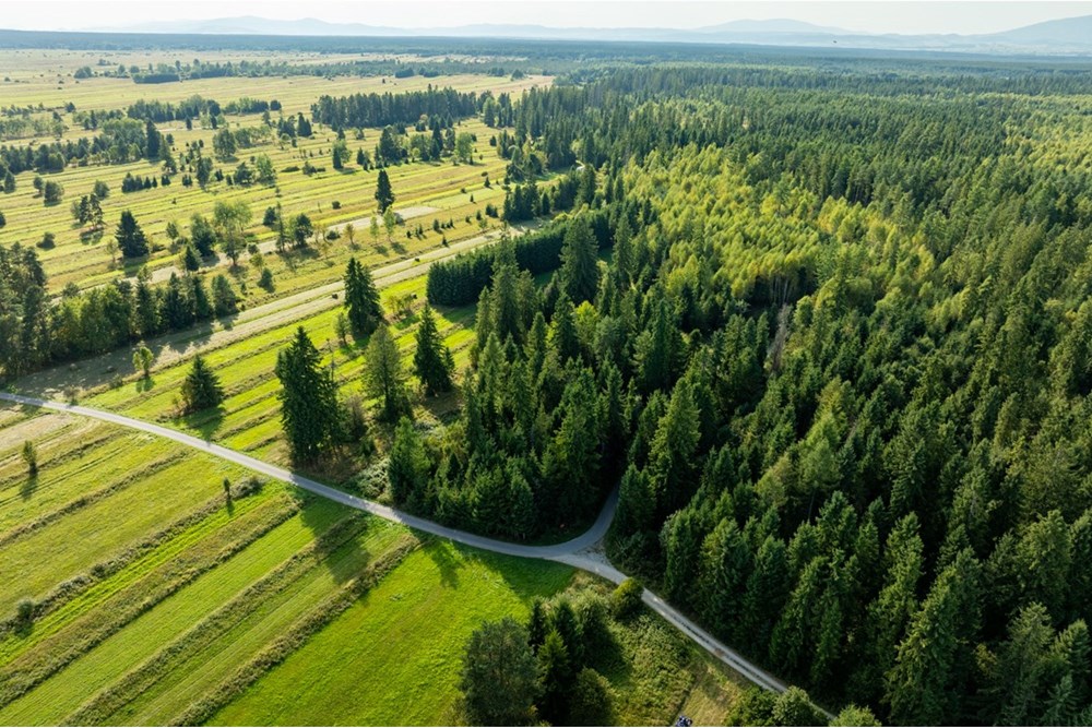 Nieruchomość gruntowa - Sprzedaż - Czarny Dunajec, Polska - 20250828-DJI_0232-HDR.jpg - 470151039-62