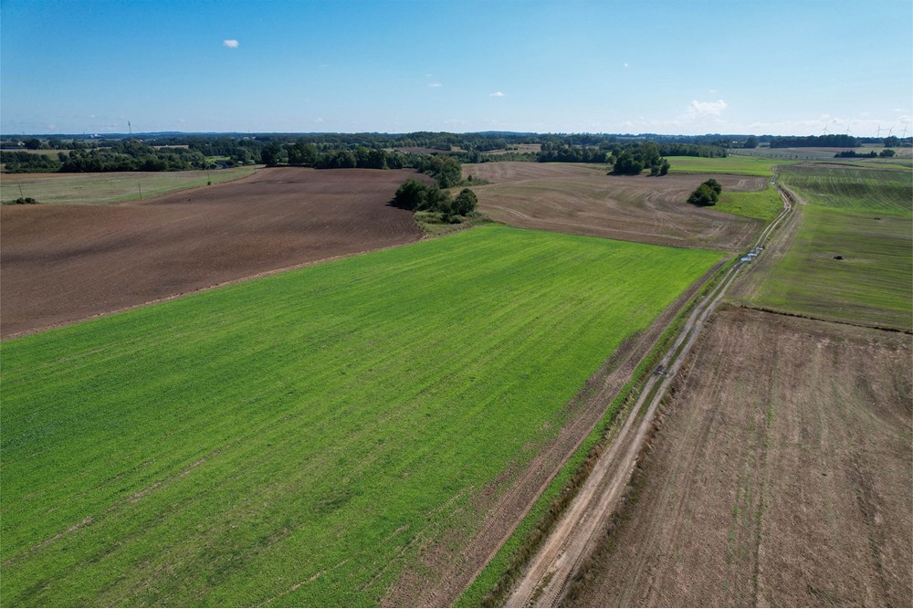 Działka budowlana - Sprzedaż - Będzino, Polska - 13.jpg - 470281002-223