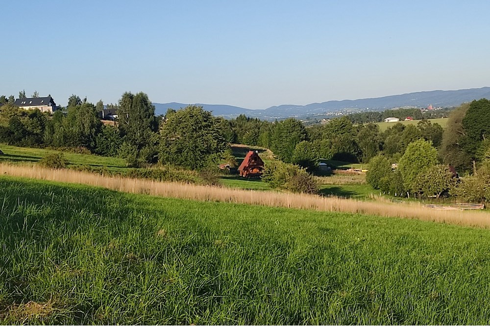 Działka - Sprzedaż - Lipowa, Polska - IMG_20250812_184600.jpg - 800061133-2