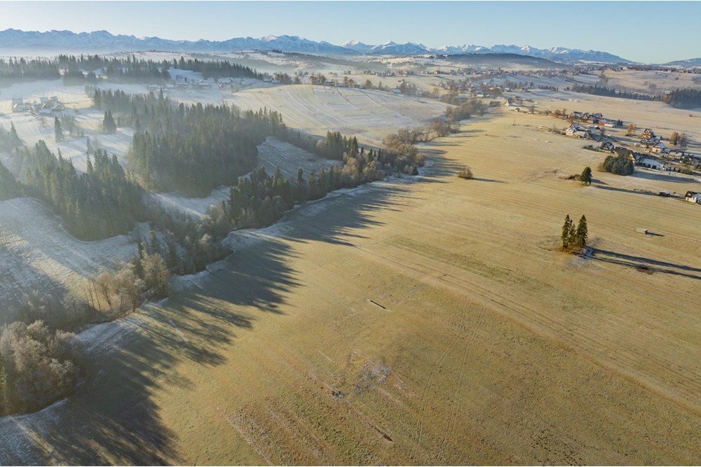 Działka - Sprzedaż - Maruszyna, Polska - 20251119-DJI_0392-HDR.jpg - 800091009-306