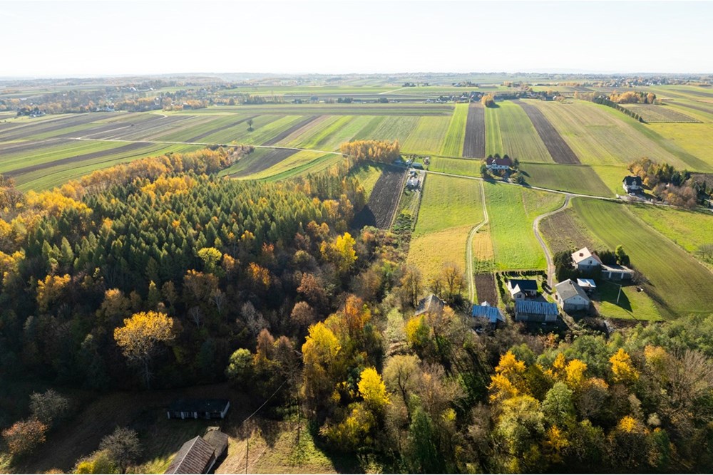 Działka - Sprzedaż - Stoki, Polska - 20251031-DJI_0124-HDR.jpg - 800241032-77
