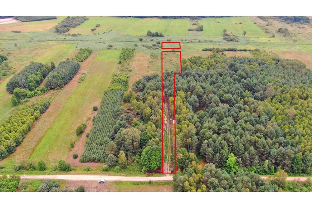 Nieruchomość gruntowa - Sprzedaż - Rudniki-Kolonia, Polska - Koniecpol (5).jpg - 800041074-18