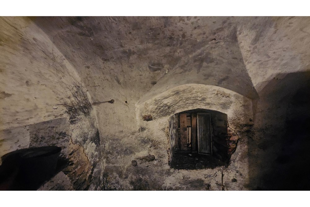 Willa - Sprzedaż - Krzeszów, Polska - 20251106_153902(1).jpg - 800061135-23