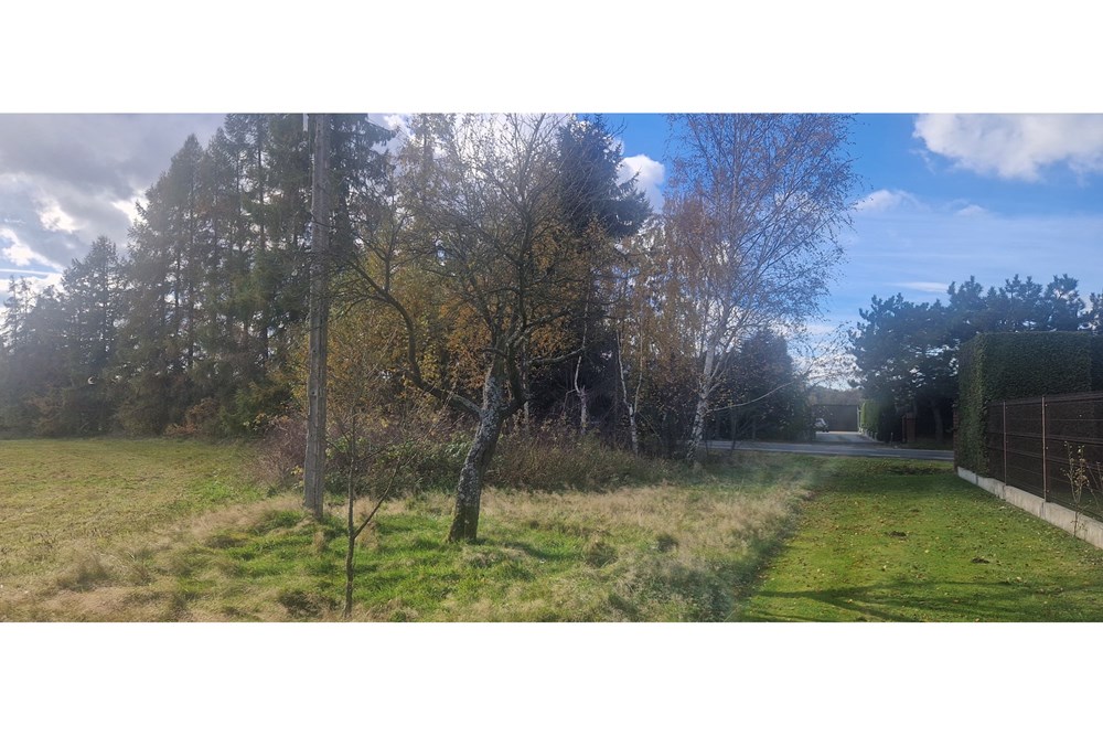 Działka - Sprzedaż - Pruchna, Polska - 20251029_115423.jpg - 470131058-385