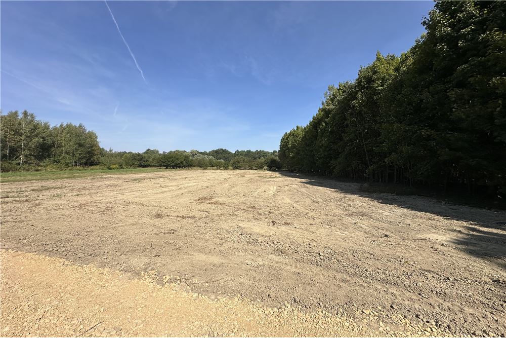 Działka - Sprzedaż - Jankowice, Polska - 22 - 800061103-174