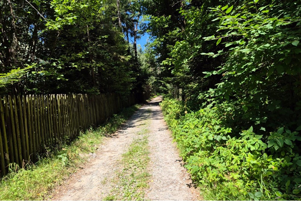 Działka budowlana - Sprzedaż - Naprawa, Polska - biuro nieruchomości (5).jpg - 800091026-80