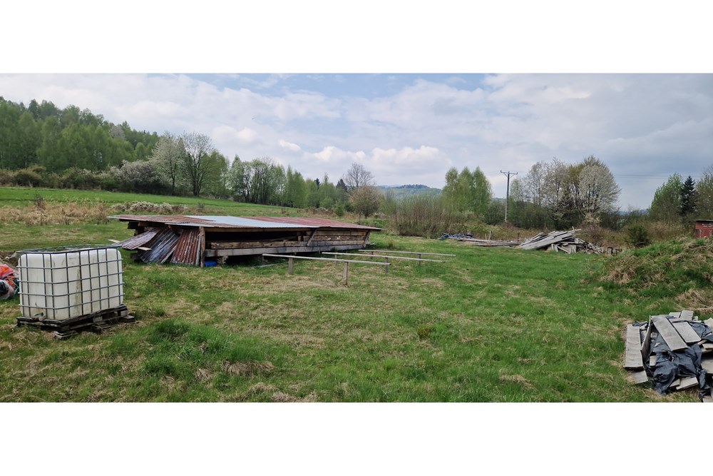 Dom wolnostojący - Sprzedaż - Jeleśnia, Polska - 20250422_103658.jpg - 470131058-361