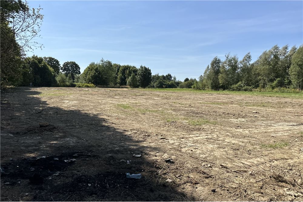 Działka - Sprzedaż - Jankowice, Polska - 27 - 800061103-174