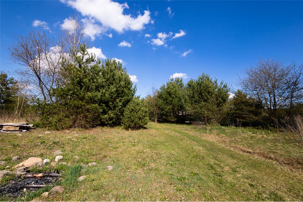 Dom wolnostojący - Sprzedaż - Łódź, Polska - 3 - 470291004-250