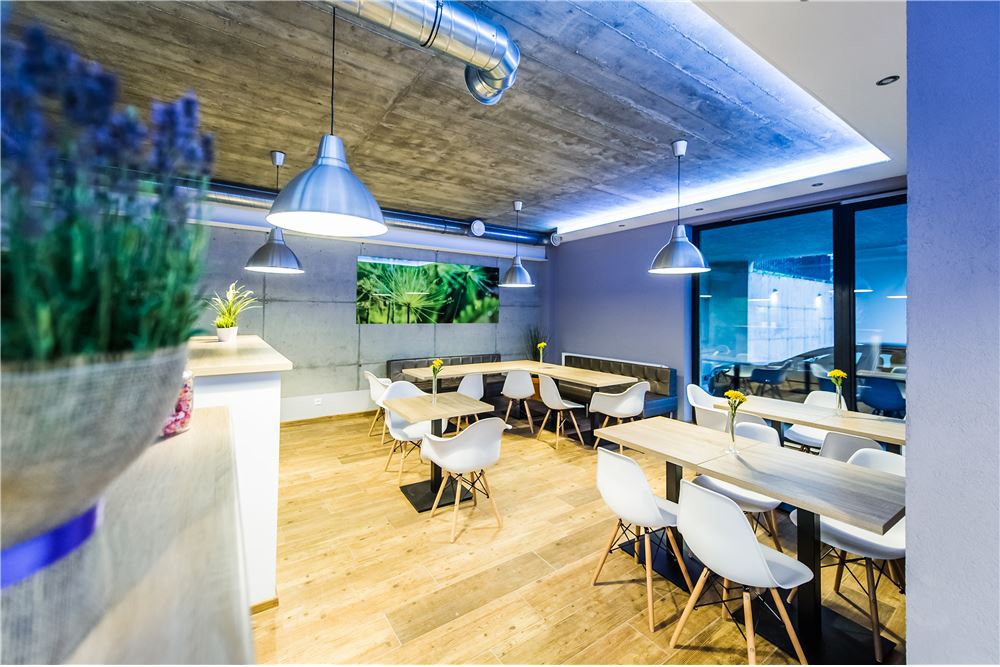 Nieruchomość inwestycyjna - Sprzedaż - Korbielów, Polska - 13 - 800061076-395