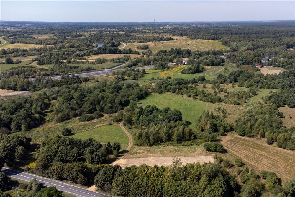 Działka - Sprzedaż - Jankowice, Polska - 50 - 800061103-174