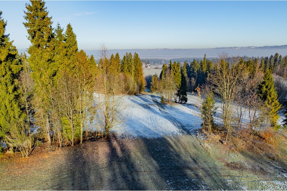 Działka - Sprzedaż - Maruszyna, Polska - 20251119-DJI_0434-HDR.jpg - 800091009-306