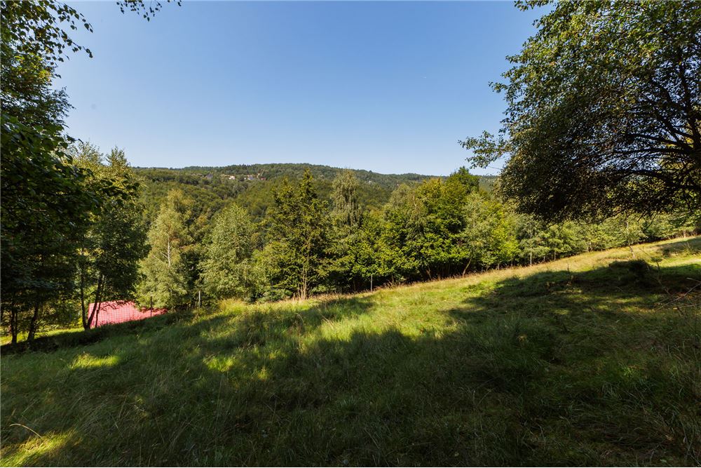 Działka - Sprzedaż - Międzybrodzie Żywieckie, Polska - 11 - 800061107-105