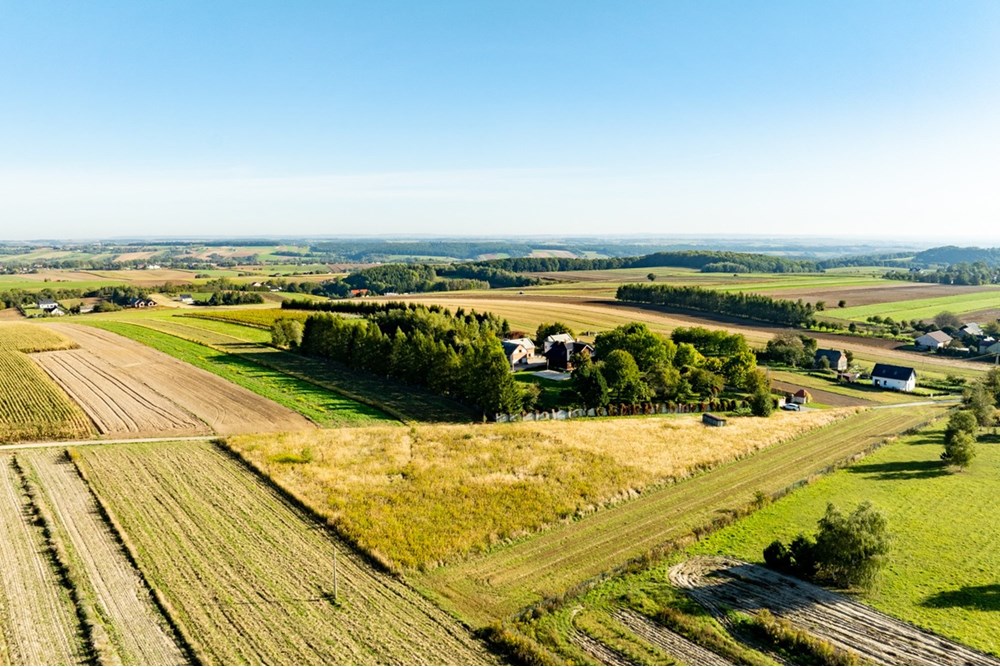 Działka budowlana - Sprzedaż - Skała, Polska - 20250927-DJI_0482-HDR.jpg - 800241031-45