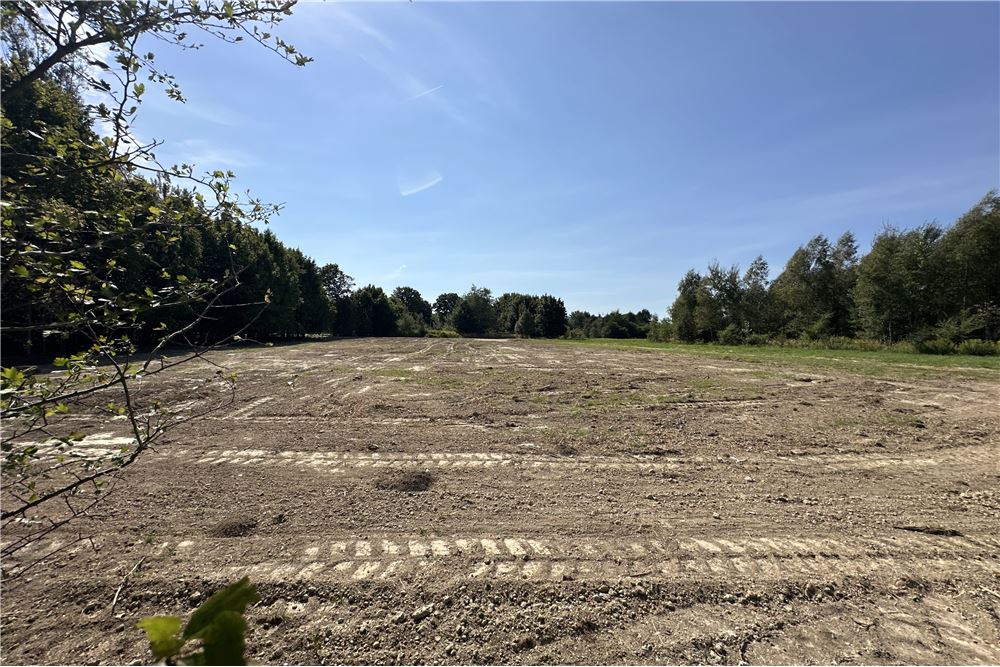 Działka - Sprzedaż - Jankowice, Polska - 25 - 800061103-174