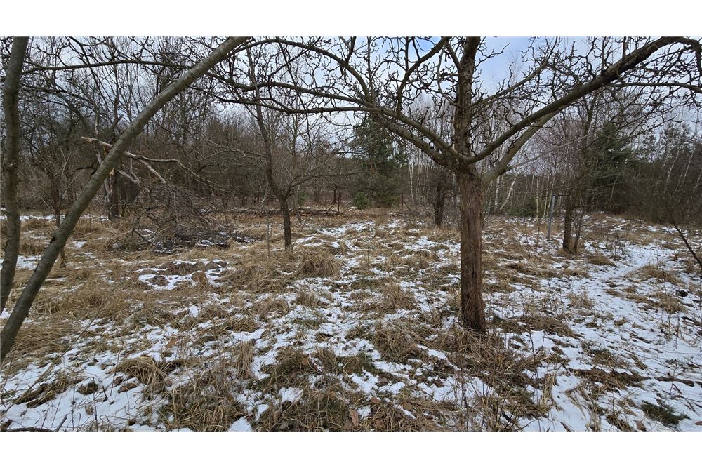 Działka - Sprzedaż - Sierzchów, Polska - 16 - 810051040-246