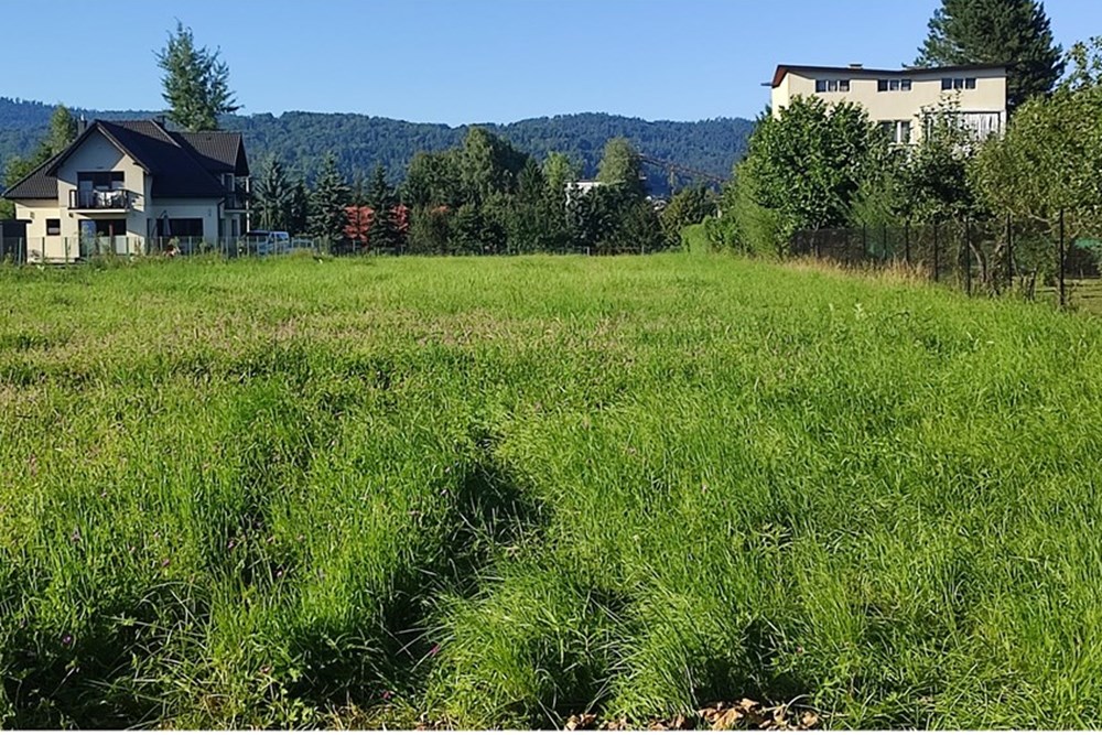 Działka budowlana - Sprzedaż - Pietrzykowice, Polska - IMG_20250812_175915.jpg - 800061133-8