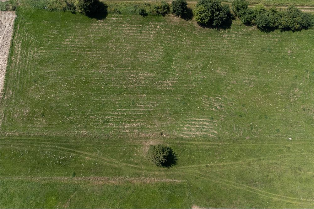 Działka budowlana - Sprzedaż - Młynne, Polska - 24 - 800061103-178