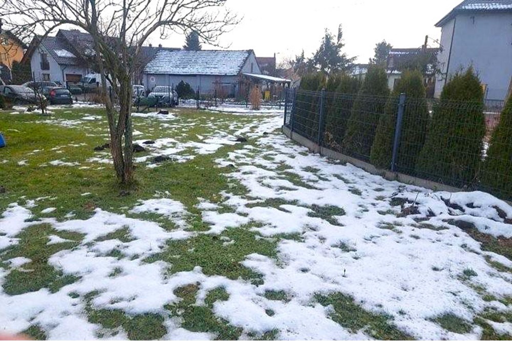 Dom bliźniak - Wynajem - Łączany, Polska - 13jpg.jpg - 800241056-1