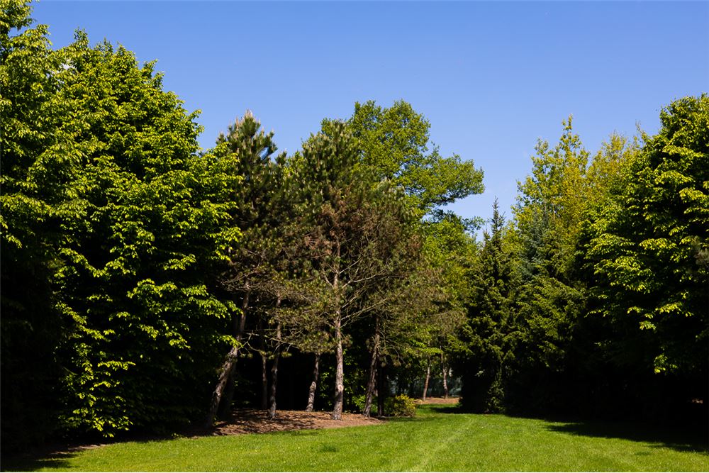 Dom wolnostojący - Sprzedaż - Łódź, Polska - 37 - 470291004-251