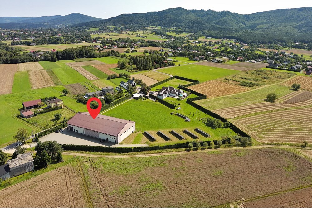 Hala - Sprzedaż - Czaniec, Polska - CG15_051D.JPG - 800061100-89