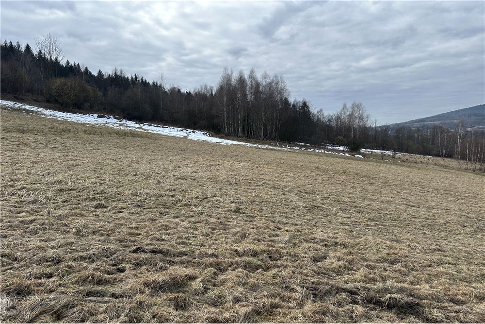 Działka budowlana - Sprzedaż - Las, Polska - 46 - 800061103-198