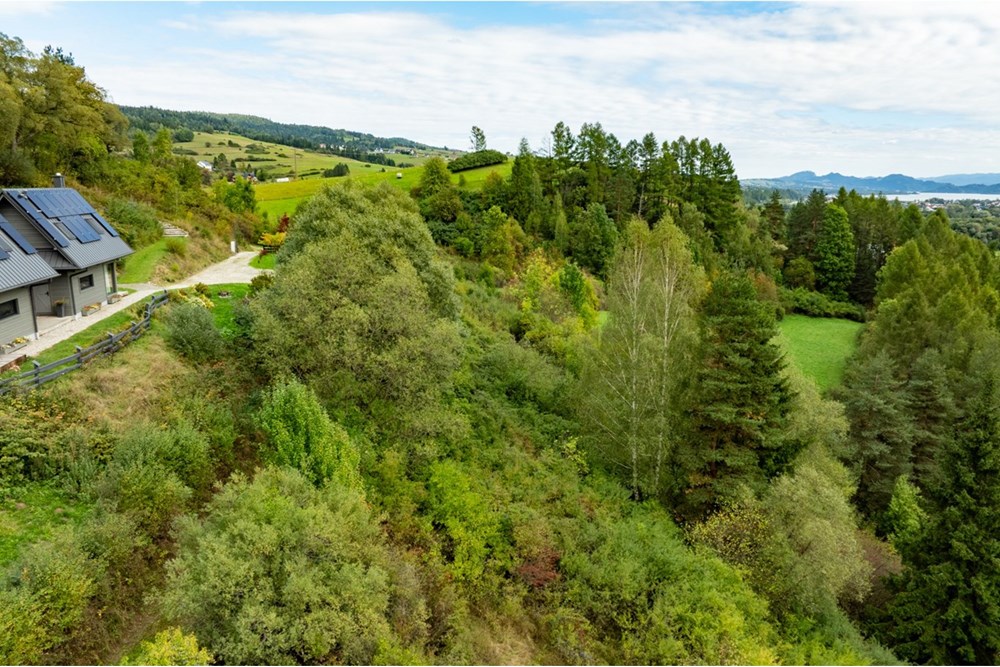 Działka - Sprzedaż - Knurów, Polska - 20250927-DJI_0794-HDR.jpg - 470151024-457