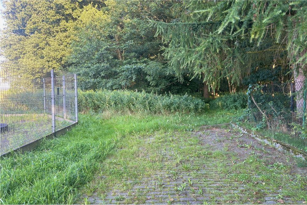 Działka budowlana - Sprzedaż - Rybnik, Polska - 12 - 800061090-241