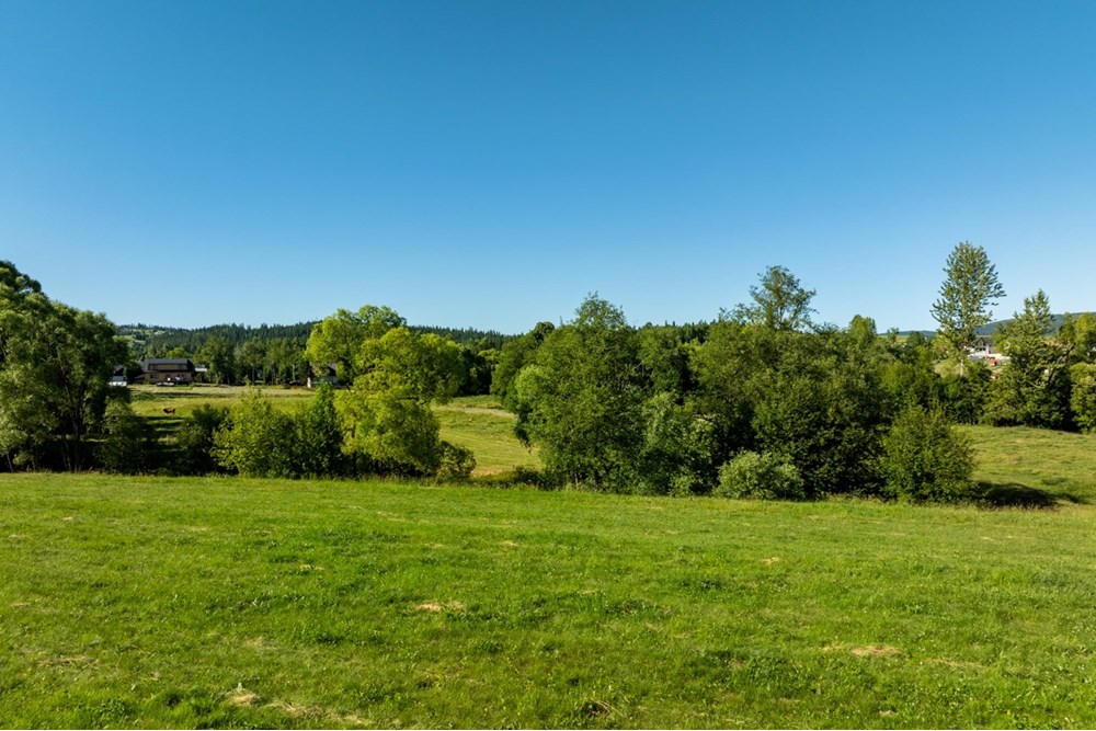 Działka budowlana - Sprzedaż - Morawczyna, Polska - DJI_0742-HDR-28.jpg - 470151039-45