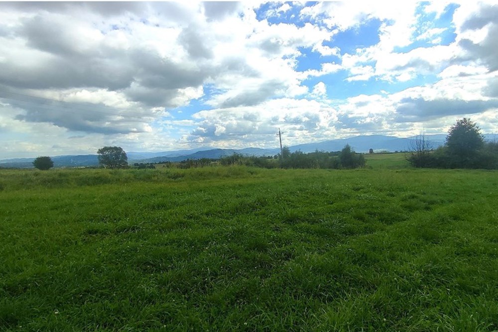 Działka budowlana - Sprzedaż - Lipowa, Polska - IMG_20250919_120932.jpg - 800061133-9