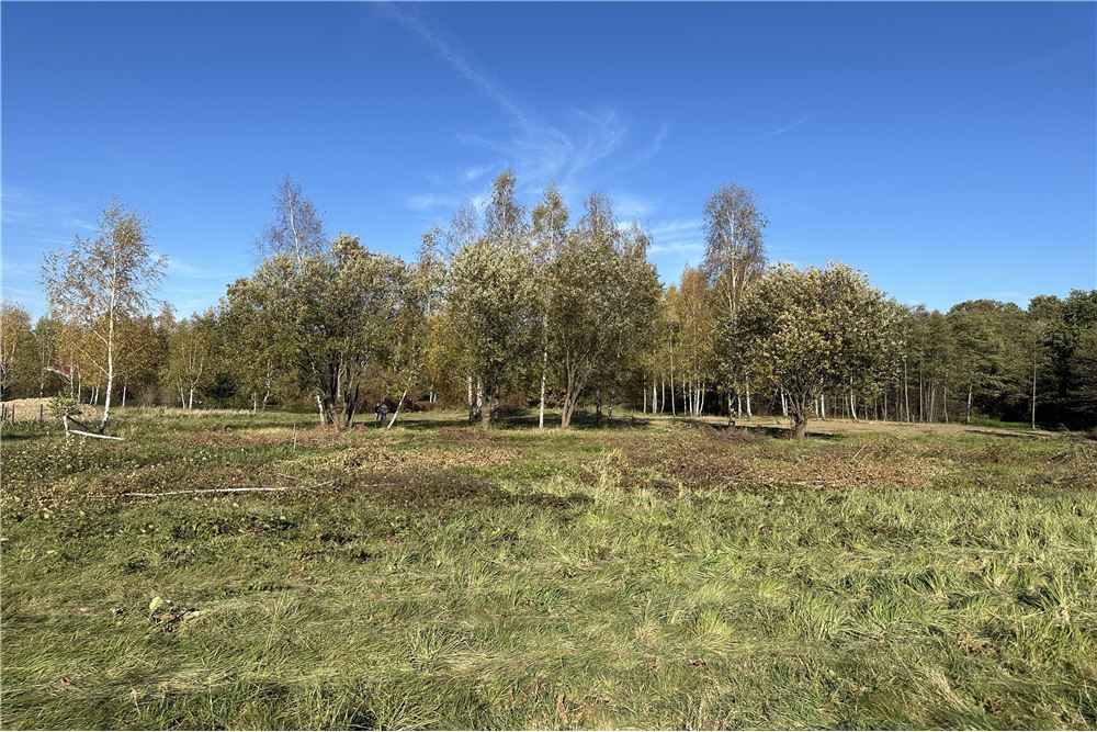 Działka budowlana - Sprzedaż - Jasienica, Polska - 42 - 800061103-173