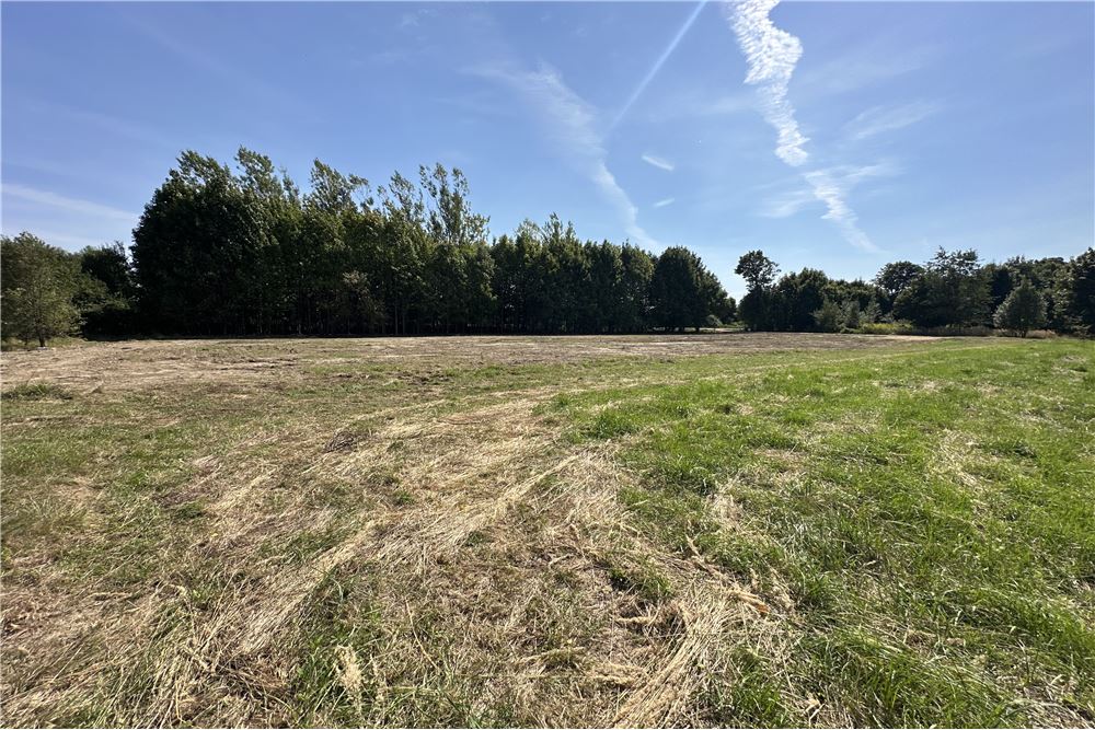 Działka - Sprzedaż - Jankowice, Polska - 14 - 800061103-174